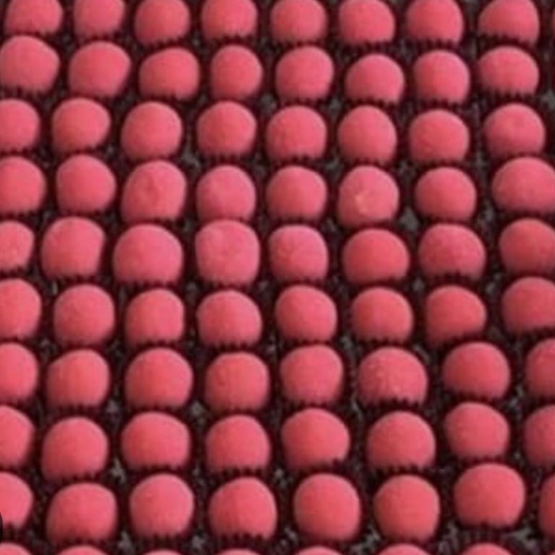 Animated Minimal Boutique Shop Instagram Feed Ad (16)